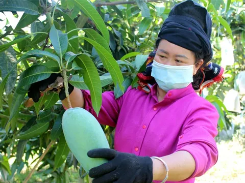 Nông sản lên “sàn” - tín hiệu mới trong chuyển đổi số nông nghiệp