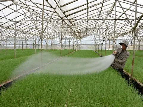 Nông nghiệp đã có bước tiến dài trở thành trụ đỡ cho nền kinh tế