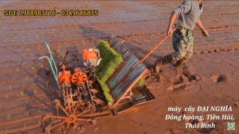 Máy cấy lúa min Trần Đại Nghĩa - Phiên bản mới năm 2022