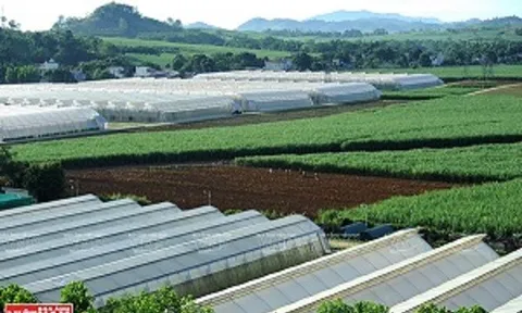 Công ty TNHH Trung tâm Nghiên cứu và Phát triển nông nghiệp công nghệ cao Lam Sơn: Chinh phục những hướng phát triển mới trong nông nghiệp
