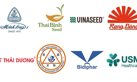 THÀNH QUẢ CỦA 8 DOANH NGHIỆP KHOA HỌC VÀ CÔNG NGHỆ - HỘI VIÊN VST ĐẠT DANH HIỆU THƯƠNG HIỆU QUỐC GIA VIỆT NAM 2026
