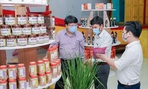 Ứng dụng thành công công nghệ chế biến bột dinh dưỡng từ gạo thảo dược