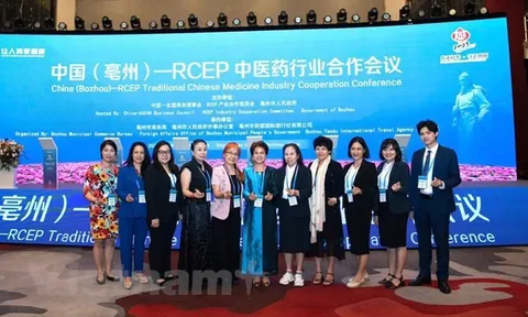 Việt Nam tham dự Hội nghị Y học Cổ truyền ASEAN-Trung Quốc năm 2023
