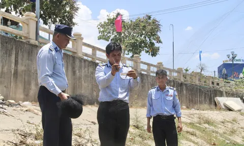 CHUNG TAY BẢO VỆ QUẦN THỂ ĐÀN CHIM YẾN