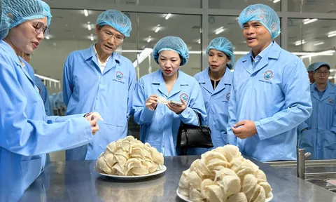 THỨ TRƯỞNG BỘ NỘI VỤ VÀ ĐOÀN KHÁCH ĐẠI BIỂU TRUNG ƯƠNG THAM QUAN NHÀ MÁY CHẾ BIẾN NGUYÊN LIỆU YẾN SÀO SANVINEST KHÁNH HÒA