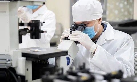 Chính sách mới tạo đột phá, 'mở đường' cho nhân tài khoa học công nghệ trẻ