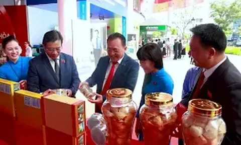 Dự thi Yến Sào Khánh Hòa phóng sự Chống Săn bắt chim yến 2026