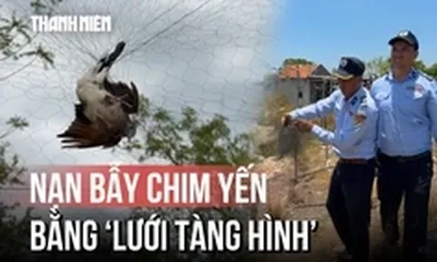 Khánh Hòa mạnh tay ngăn nạn săn bắt chim yến bằng ‘lưới tàng hình’