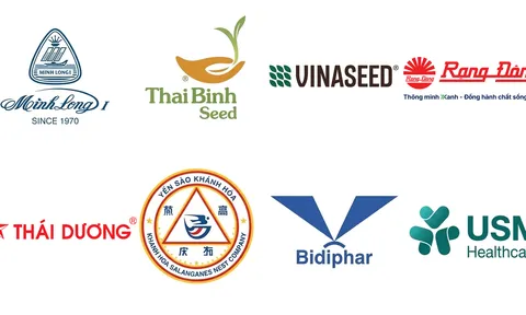 THÀNH QUẢ CỦA 8 DOANH NGHIỆP KHOA HỌC VÀ CÔNG NGHỆ - HỘI VIÊN VST ĐẠT DANH HIỆU THƯƠNG HIỆU QUỐC GIA VIỆT NAM 2026