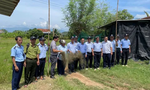 TĂNG CƯỜNG KIỂM TRA, KIÊN QUYẾT XỬ LÝ BẪY BẮT CHIM YẾN TẠI NINH HOÀ