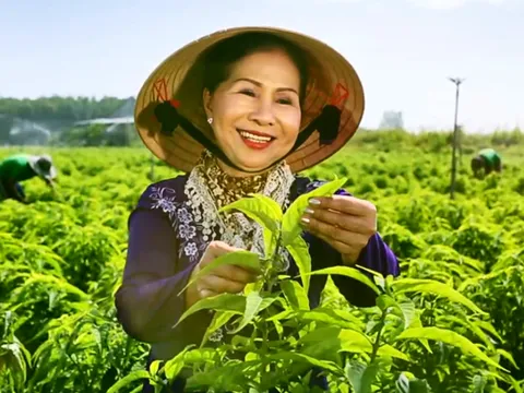 Khởi nghiệp tuổi 60 và hành trình bảo vệ sức khỏe gia đình Việt