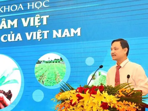 Kỳ tích khởi nghiệp tại Bến Tre: Ứng dụng khoa học phát triển dược liệu quý mọc trên nền cát trắng