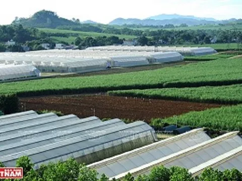 Công ty TNHH Trung tâm Nghiên cứu và Phát triển nông nghiệp công nghệ cao Lam Sơn: Chinh phục những hướng phát triển mới trong nông nghiệp