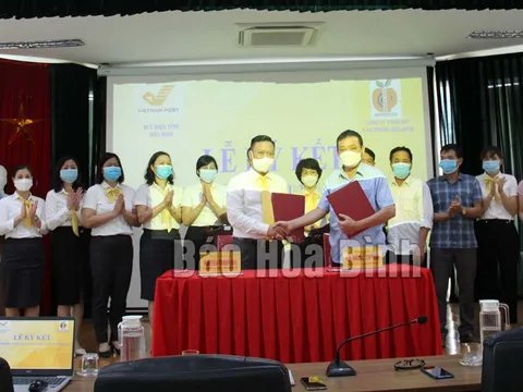 Công ty TNHH MTV Cao Phong Hòa Bình: NÂNG TẦM THƯƠNG HIỆU HOA QUẢ SẠCH