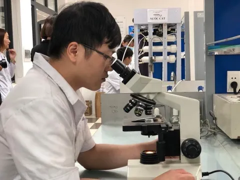 Việt Nam thử nghiệm xếp hạng năng lực IT và AI