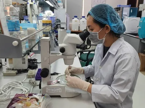 'TP HCM cần quan tâm yếu tố chấp nhận rủi ro trong khoa học'