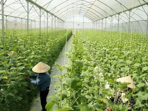 Bắc Giang: Hiệu quả từ đổi mới cơ chế quản lý hoạt động khoa học công nghệ