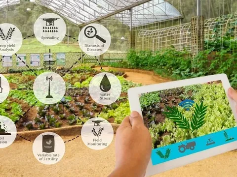 Ứng dụng trí tuệ nhân tạo - chìa khóa phát triển nền nông nghiệp hiện đại và bền vững