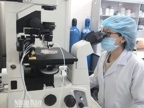 Thu hút, giữ chân nhà khoa học