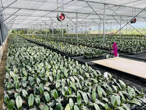 Tiền cho khoa học công nghệ không thiếu nhưng khai thác còn rất yếu