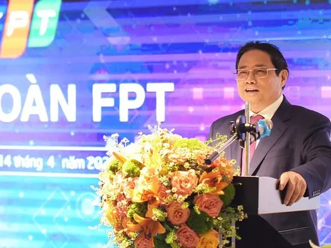 Đào tạo nhân lực để chuyển đổi số hiệu quả