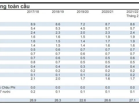 Sản lượng bông sợi toàn cầu tăng, đẩy mạnh chuỗi cung ứng công nghiệp hỗ trợ ngành dệt may