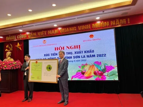 Cục trưởng Cục Sở hữu trí tuệ trao Giấy chứng nhận nhãn hiệu chứng nhận Mận Sơn La, Chanh leo Sơn La và Bơ Sơn La cho Sở Khoa học và Công nghệ tỉnh Sơn La