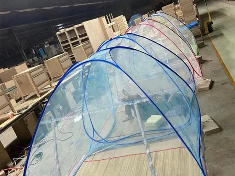 Doanh nghiệp chế biến gỗ nỗ lực thực hiện '3T', duy trì sản xuất