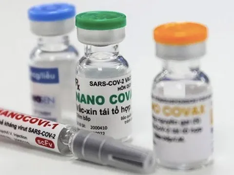Tham vấn quốc tế về nghiên cứu và cấp phép khẩn cấp vaccine COVID-19 "Made in Vietnam"