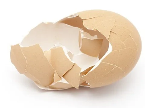 Biến vỏ trứng thành vật liệu để sản xuất xương nhân tạo