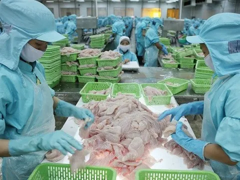 VASEP: Nhiều doanh nghiệp thủy sản kiệt quệ, khó có khả năng phục hồi