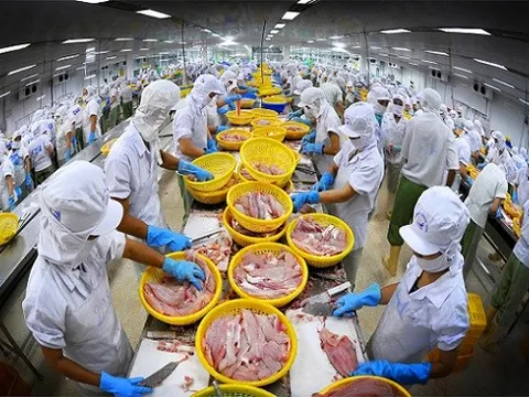 Xu hướng tiêu dùng thủy sản của người dân EU thay đổi "chóng mặt" do COVID-19