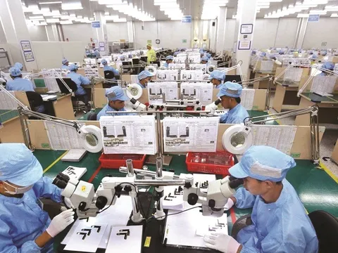 Cần Thơ: Hỗ trợ xây dựng mô hình doanh nghiệp áp dụng tiêu chuẩn, quy chuẩn lỹ thuật