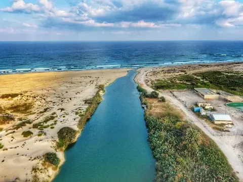 Rong biển được chứng minh làm giảm lượng nitơ chảy ra từ sông