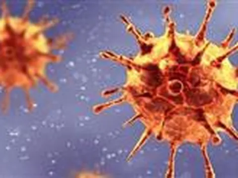 Các bài nghiên cứu mới về COVID-19 từ ngày 13/08 đến ngày 20/08/2021