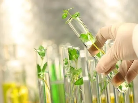 Phê duyệt đề án Phát triển công nghiệp sinh học ngành Công Thương đến năm 2030