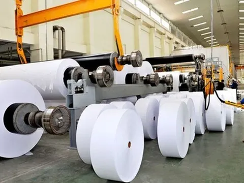 Chú trọng nghiên cứu chuyển giao công nghệ, nâng cao năng lực cạnh tranh ngành công nghiệp giấy