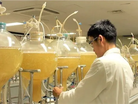 Tiến sĩ tạo dược chất quý thay thế dược liệu ngoài tự nhiên