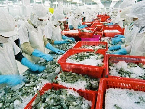 Một cách tiếp cận hiệu quả và chi phí thấp để phát hiện gian lận thực phẩm