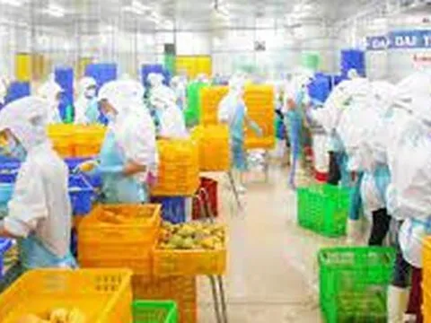 Danh sách doanh nghiệp sản xuất thực phẩm không đáp ứng yêu cầu kiểm tra tại nguồn của Hàn Quốc năm 2021