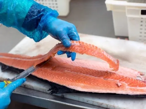 Dự án biến chất thải trong chế biến thủy sản thành nylon mang lại ý nghĩa mới cho ngành thủy sản