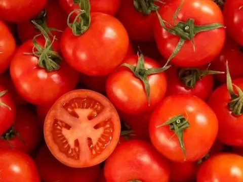 Gien mới có thể giúp cải thiện hương vị và thời hạn sử dụng cà chua