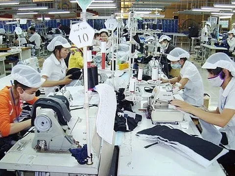 Tháng 10: Số doanh nghiệp quay trở lại hoạt động tăng gần 30%