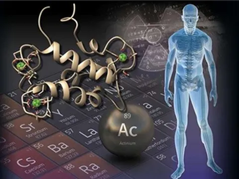 Tìm ra protein mới giúp thúc đẩy các liệu pháp điều trị ung thư và phát hiện vật liệu phóng xạ