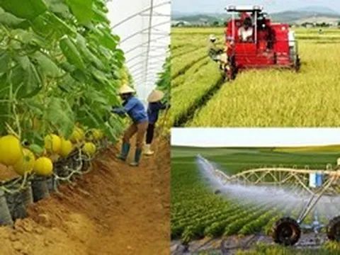 Khuyến khích nông nghiệp thông minh trong phát triển đô thị