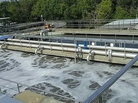 Nghiên cứu về cảm biến sinh học ứng dụng trong đánh giá chất lượng nước thải