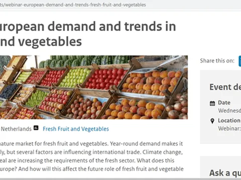 Thông tin hữu ích cho các doanh nghiệp xuất khẩu vào thị trường Châu Âu