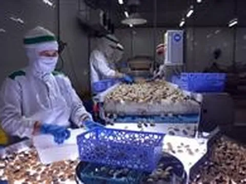 Áp dụng công cụ cải tiến, hỗ trợ doanh nghiệp nâng cao năng suất