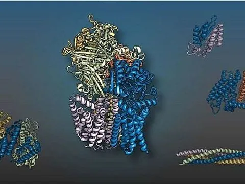 Trí tuệ nhân tạo dự đoán thành công các tương tác protein