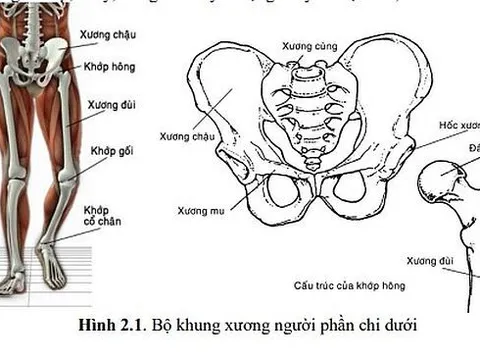 Nghiên cứu, thiết kế và chế tạo bộ thiết bị hỗ trợ lực chân cho người bị liệt, thoái hóa khớp chân